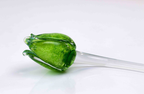 Loranto + Tulp, groen